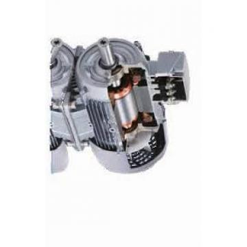 ASV 0201-986 Reman Hydraulic Final Drive Motor