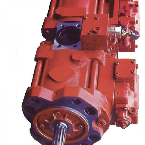 Dynapac 381867 Reman Hydraulic Final Drive Motor #1 image