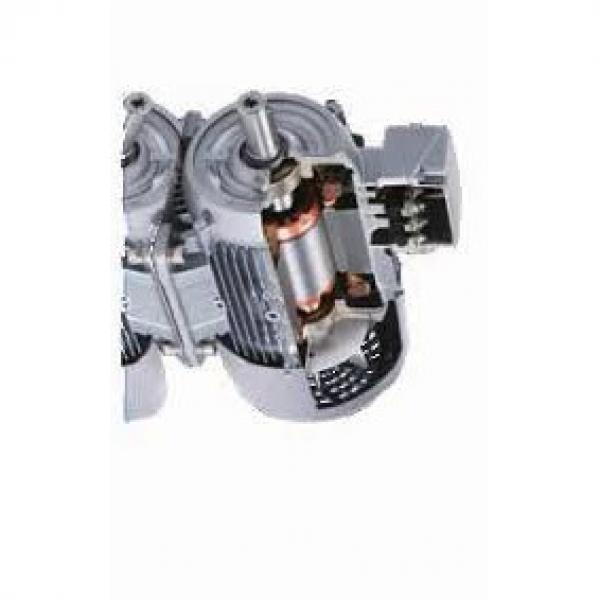 ASV RC50 SN -698 Reman Hydraulic Final Drive Motor #1 image